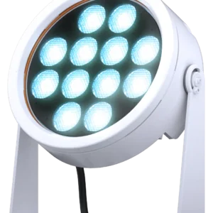 doctus-12_main