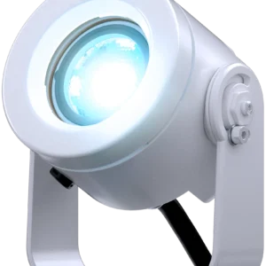 doctus-1_main
