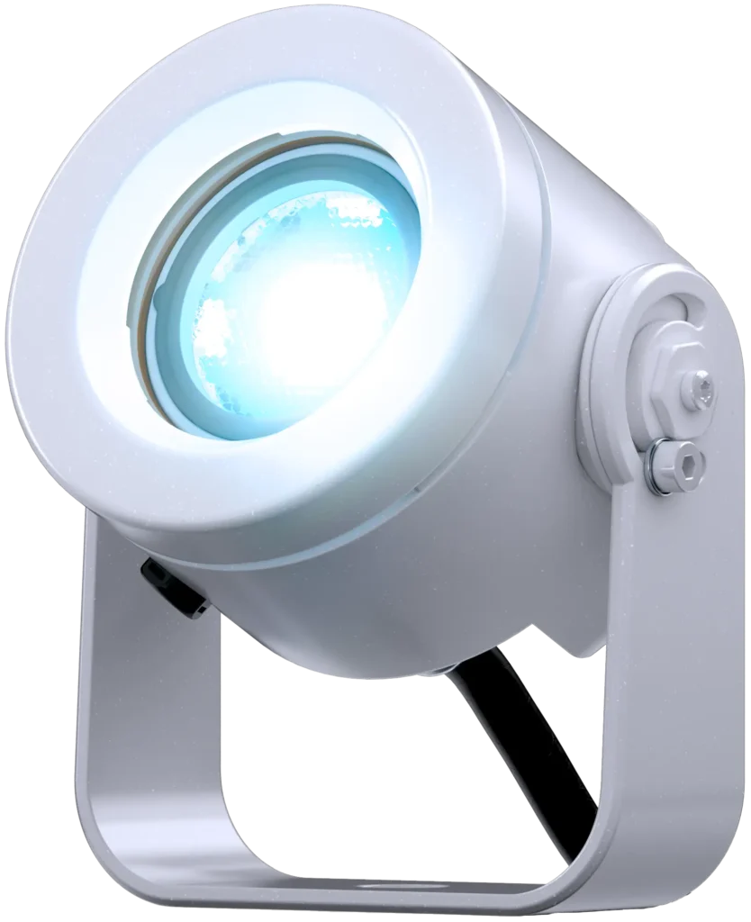 doctus-1_main
