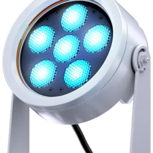 doctus-6_main