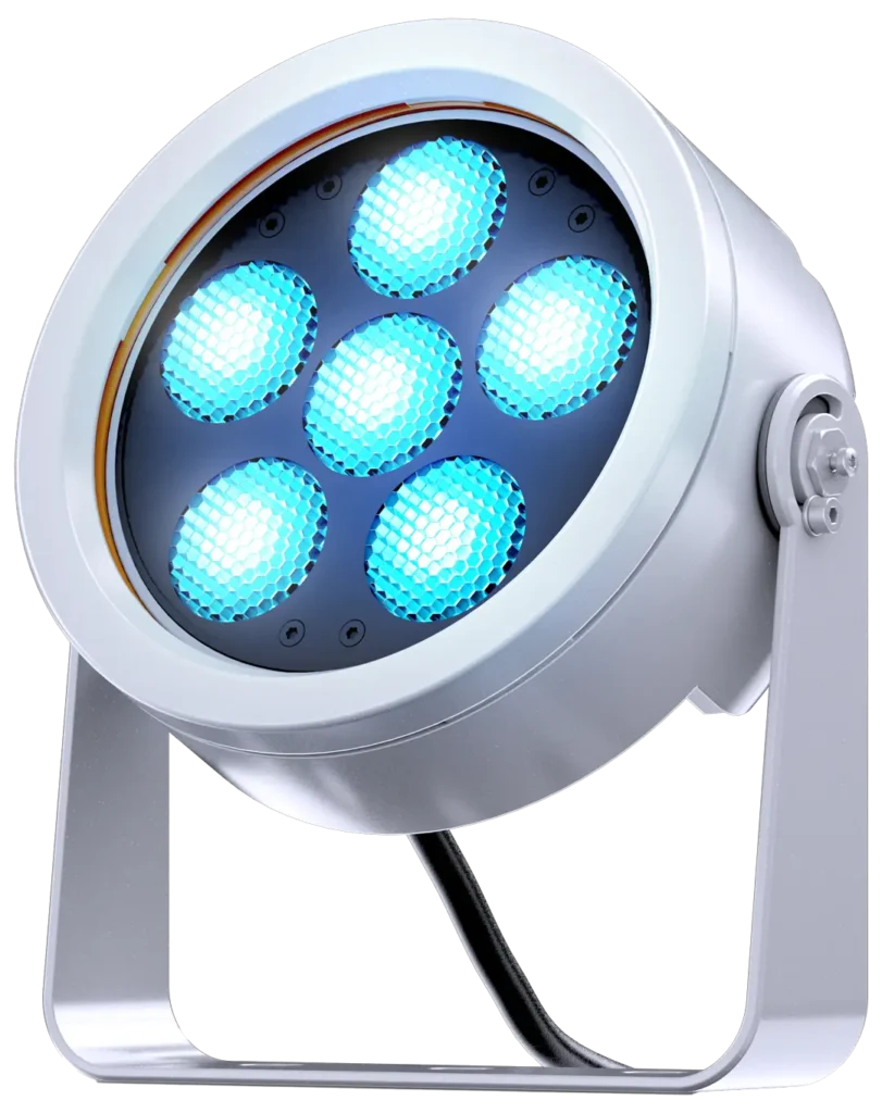 doctus-6_main