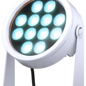 doctus.D-12_main