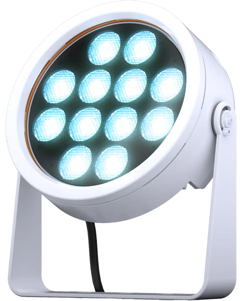 doctus.D-12_main