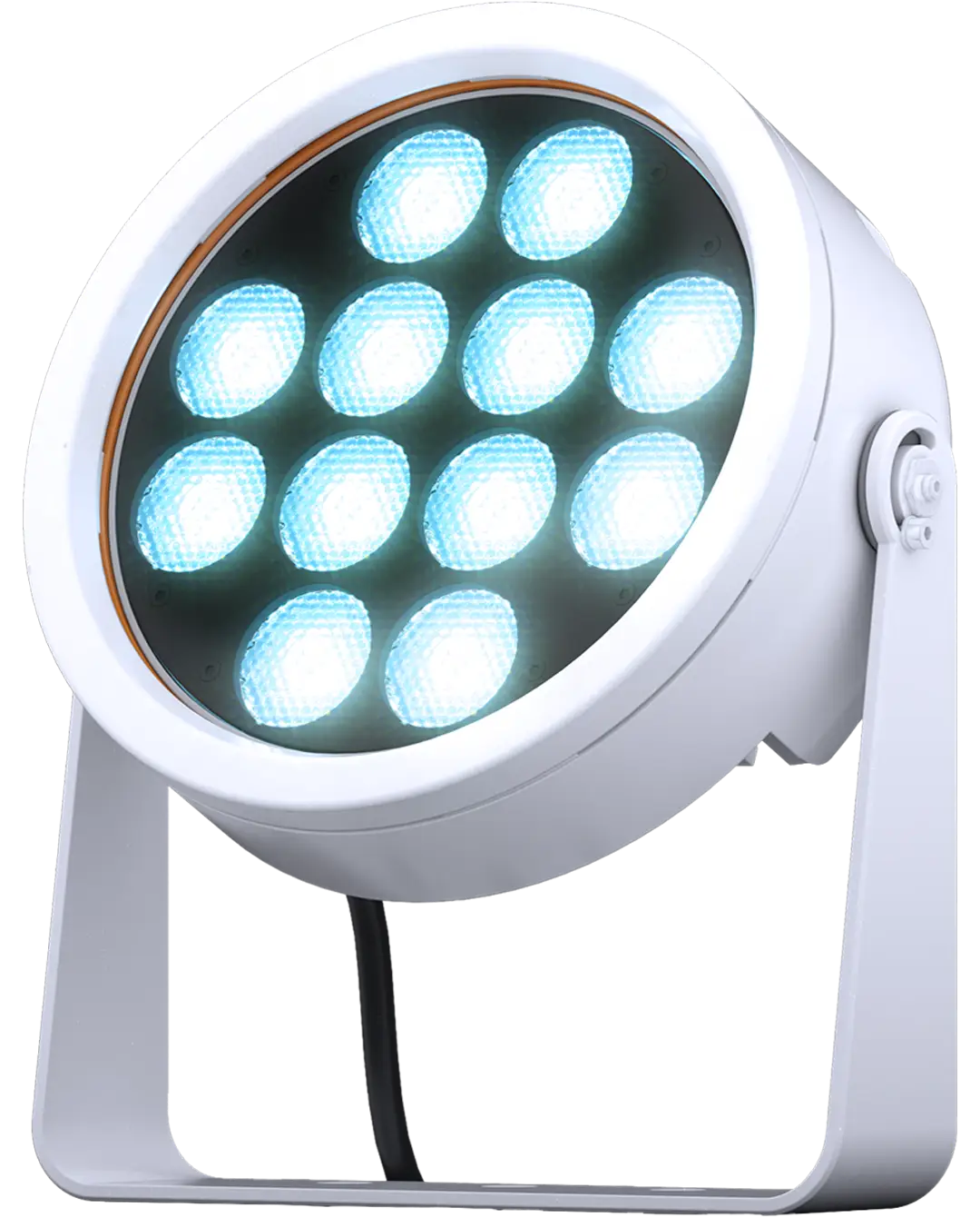 doctus.D-12_main