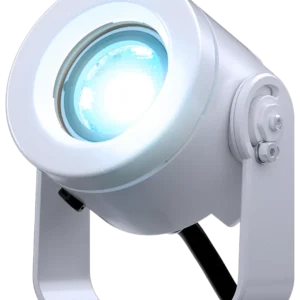 doctus.D-1_main