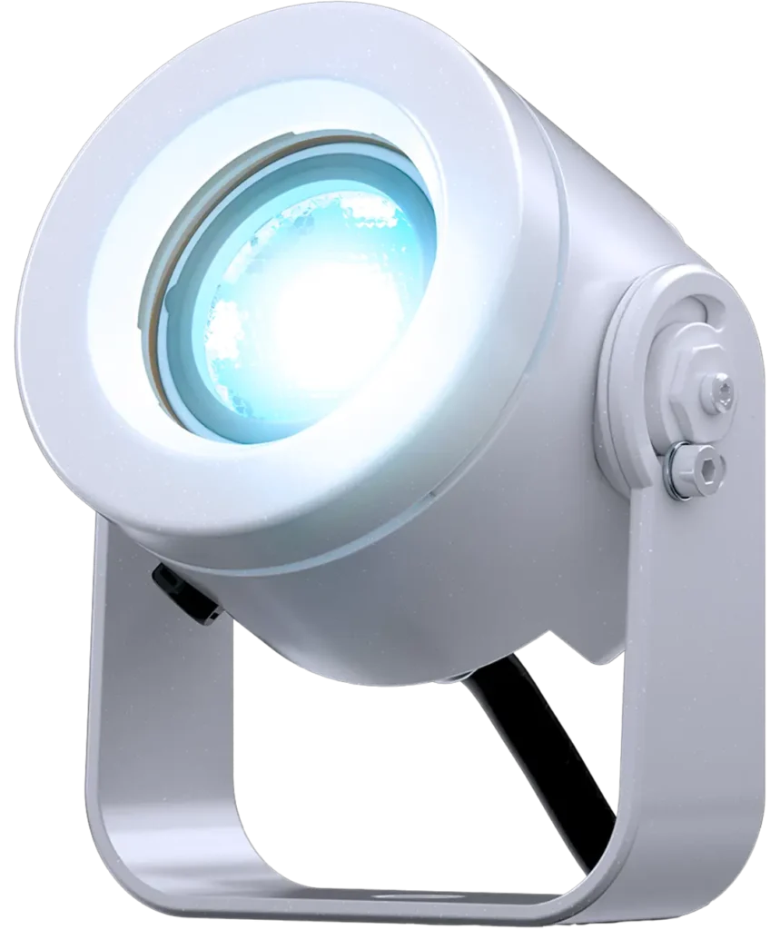 doctus.D-1_main