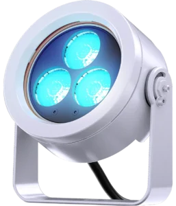 doctus.D-3_main