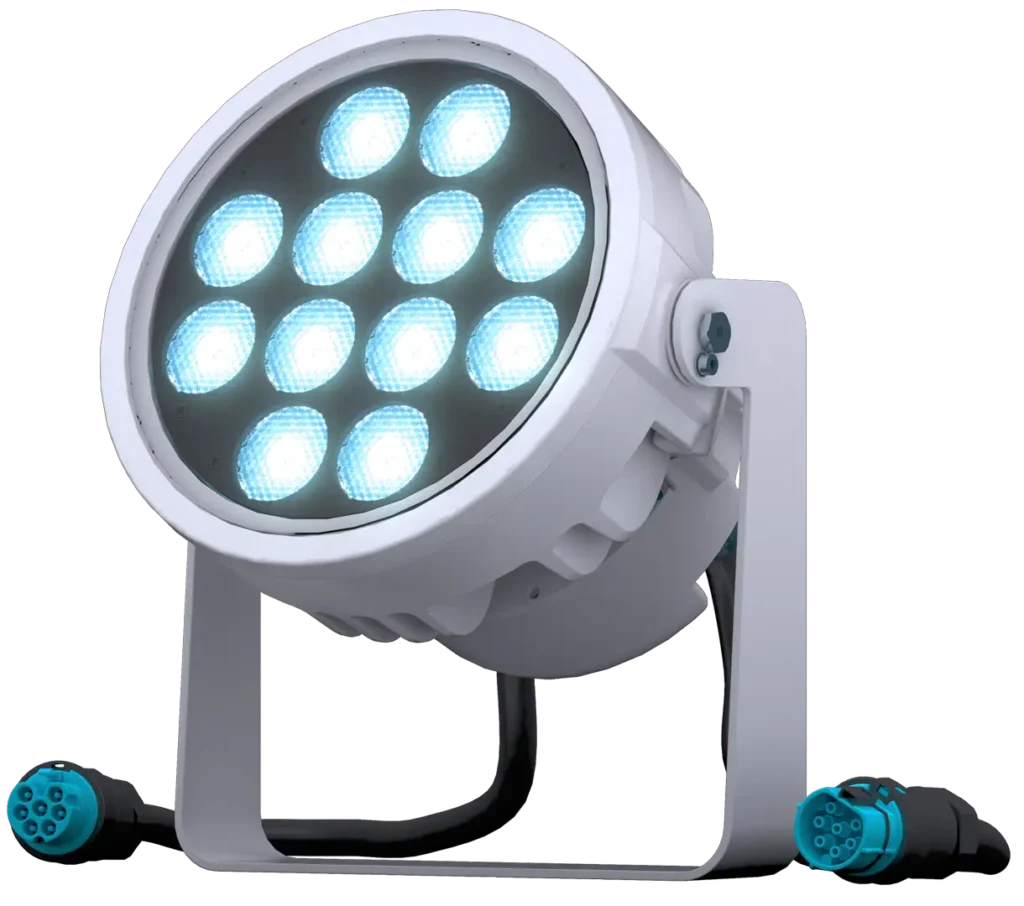 doctus.s-12_main