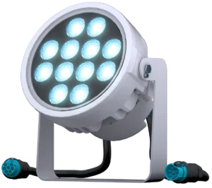 doctus.s-12_main