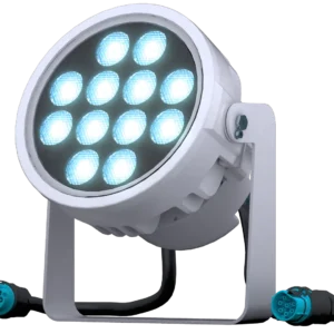 doctus.s-12_main