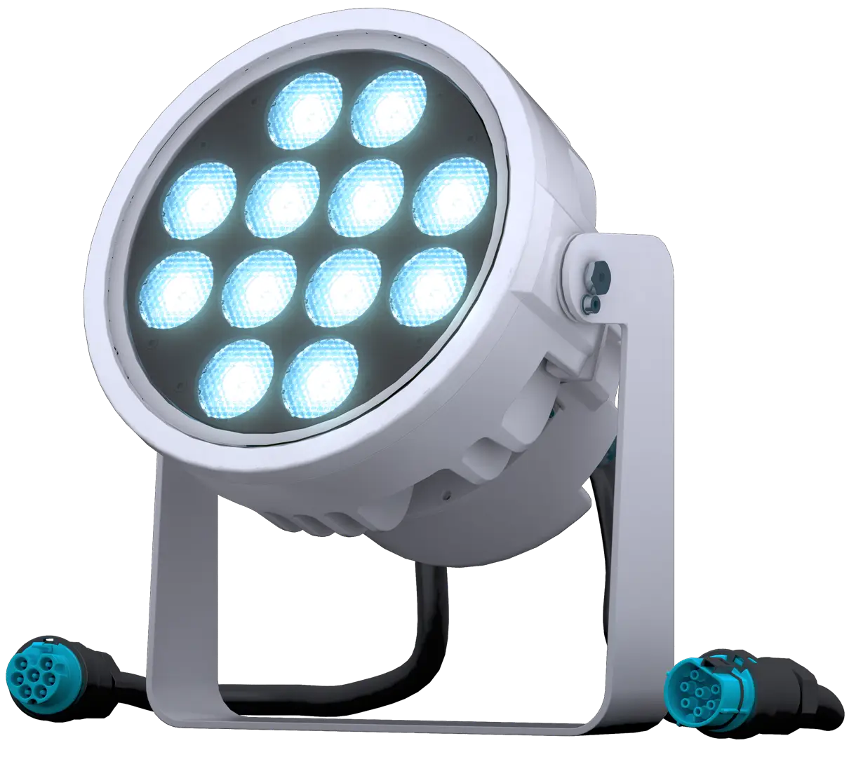 doctus.s-12_main